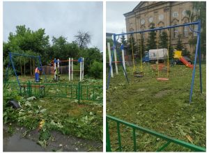 Прокуратура занялась вопросом окоса травы детской площадки в Туле