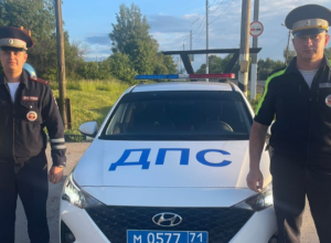 Ясногорского водителя оштрафовали за парковку на пешеходном переходе