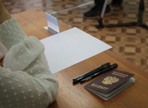 В Тульской области 59 выпускников набрали 100 баллов по результатам ЕГЭ