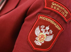 В Тульской области закрыли 19 кафе и столовых за грубые нарушения