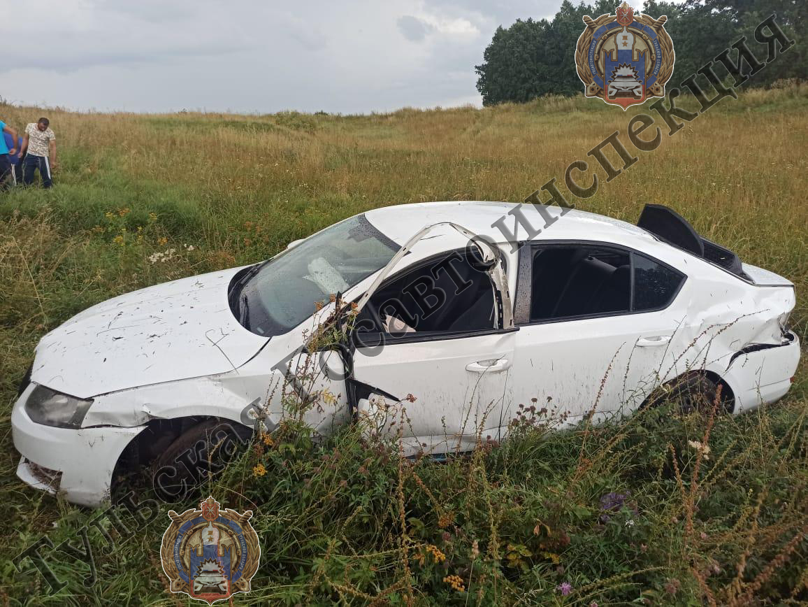 35-летний водитель Skoda Octavia погиб в ДТП в Ефремовском районе | ИА  “Тульская Пресса”