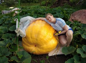 Тулячка вырастила тыкву-гиганта весом более 300 килограммов