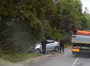 В Туле у военкомата на ул. Болдина на автомобиль Nissan рухнуло дерево