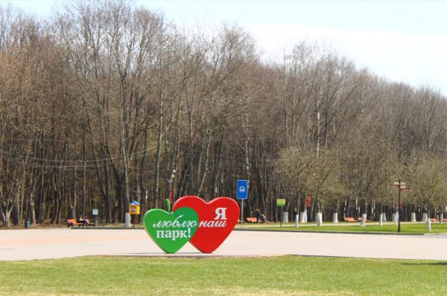 Ð¡ 15 Ð¾ÐºÑÑÐ±ÑÑ Ð² Ð¿Ð°ÑÐºÐ°Ñ Ð¢ÑÐ»Ñ Ð¿ÑÐ¸ÑÑÑÐ¿ÑÑ Ðº ÑÐ´Ð°Ð»ÐµÐ½Ð¸Ñ Ð±Ð¾Ð»ÐµÐµ 300 Ð´ÐµÑÐµÐ²ÑÐµÐ²