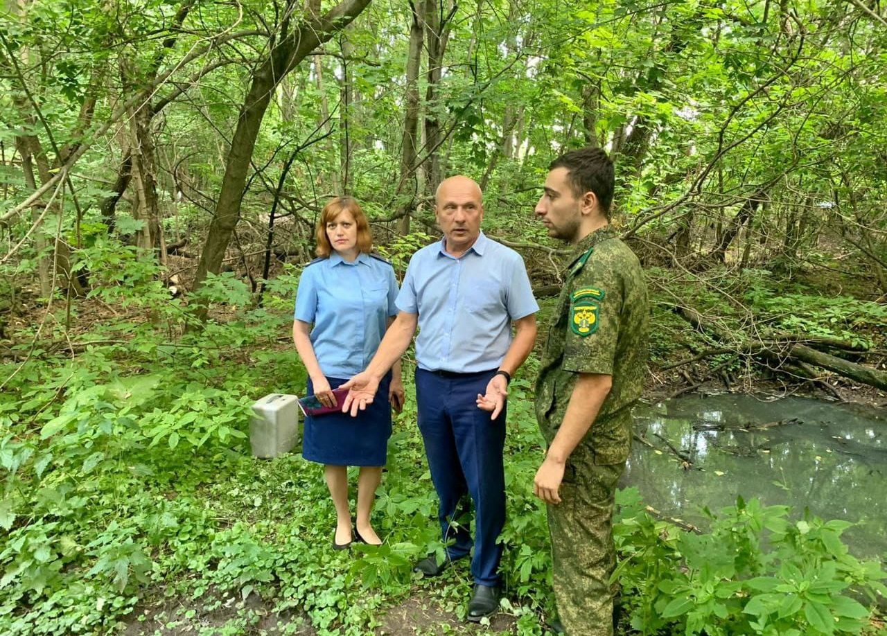 В Кимовске сточные воды затопили Карачевский лес: прокуратура потребовала у  администрации устранить нарушения | ИА “Тульская Пресса”