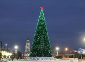 Некоторые юные туляки смогут бесплатно посетить новогоднюю елку