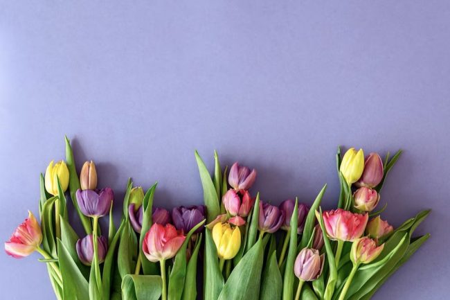 Ð¢ÑÐ»ÑÐºÐ°Ð¼ Ð½Ð°Ð¿Ð¾Ð¼Ð¸Ð½Ð°ÑÑ Ð¾ Ð²ÑÑÐ¾Ð´Ð½Ð¾Ð¼ Ð´Ð½Ðµ 8 Ð¼Ð°ÑÑÐ°