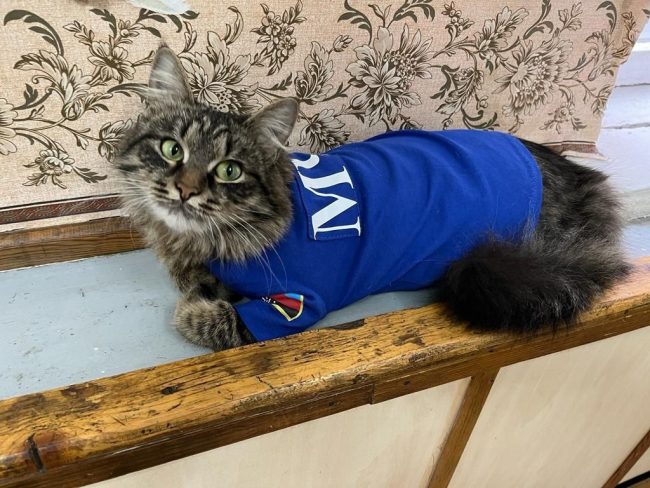 ÐÐ¾ÑÐºÐ° Ð½Ð° ÑÐ»ÑÐ¶Ð±Ðµ ÐÐ§Ð¡: ÑÑÐ»ÑÑÐºÐ¸Ðµ ÑÐ¿Ð°ÑÐ°ÑÐµÐ»Ð¸ Ð¿Ð¾ÐºÐ°Ð·Ð°Ð»Ð¸ ÑÐ²Ð¾ÐµÐ³Ð¾ Ð»ÑÐ±Ð¸Ð¼ÑÐ°