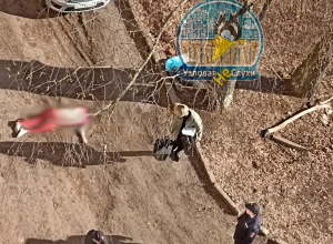 В Узловой страдающая психическим расстройством женщина выпала из окна и погибла