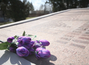 «У администрации нет свободных рук»: в Суворовском районе воинский мемориал зарос травой