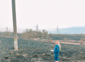 Киреевская прокуратура провела проверку по поджогу сухой травы: главе администрации внесли представление