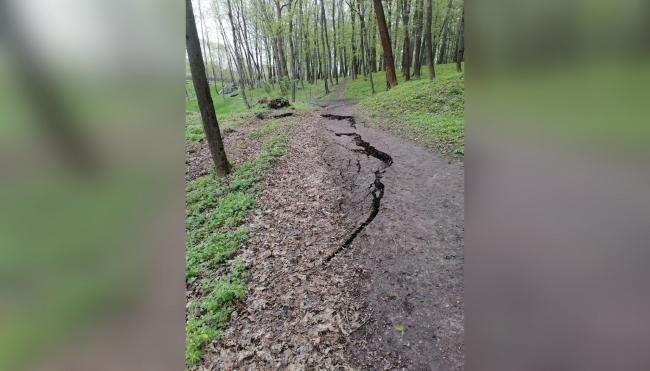 Ð ÐÐ¾Ð³Ð¾ÑÐ¾Ð´Ð¸ÑÐºÐµ Ð¿Ð°Ð¼ÑÑÐ½Ð¸Ðº Ð»Ð°Ð½Ð´ÑÐ°ÑÑÐ½Ð¾Ð¹ Ð°ÑÑÐ¸ÑÐµÐºÑÑÑÑ Ð¿Ð¾ÐºÑÑÐ»ÑÑ ÐºÑÑÐ¿Ð½ÑÐ¼Ð¸ ÑÑÐµÑÐ¸Ð½Ð°Ð¼Ð¸