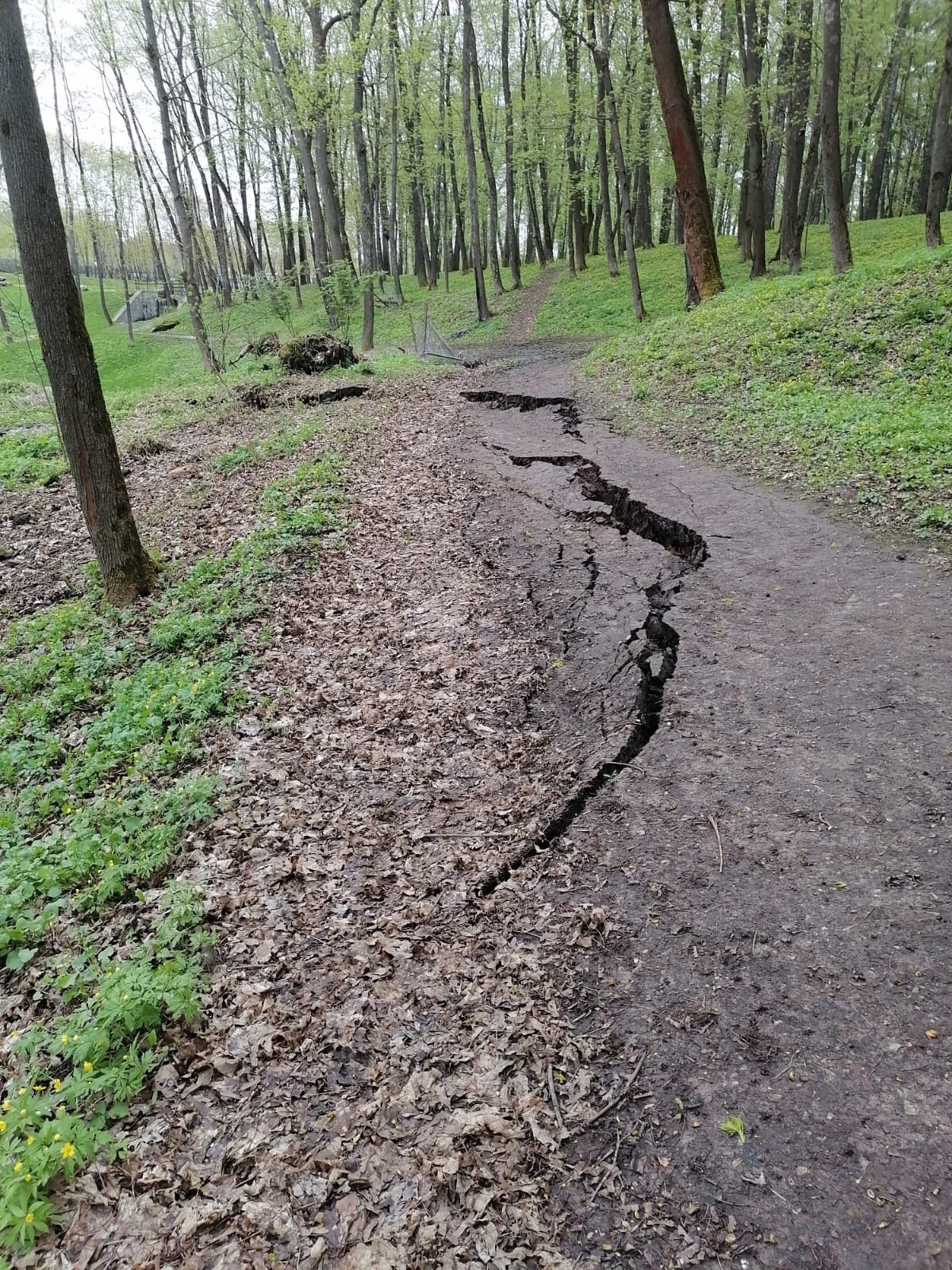 В Богородицке памятник ландшафтной архитектуры покрылся крупными трещинами  | ИА “Тульская Пресса”