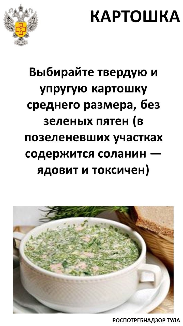 Роспотребнадзор рассказал тулякам, как приготовить идеальную окрошку |  26.06.2023 | Тула - БезФормата