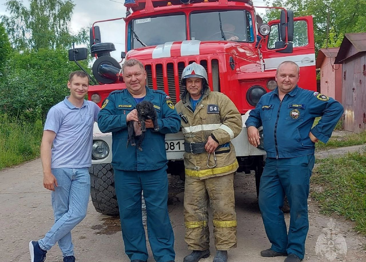 Тульские спасатели помогли щенку выбраться из-под завалов | ИА “Тульская  Пресса”