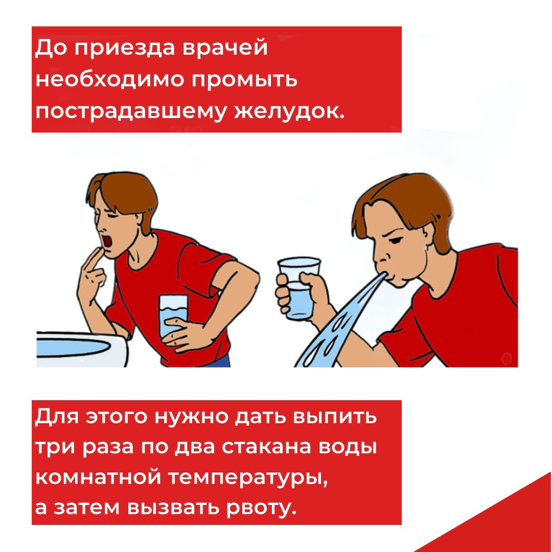 Как оказать помощь при отравлении грибами: советы тульских медиков | ИА  “Тульская Пресса”