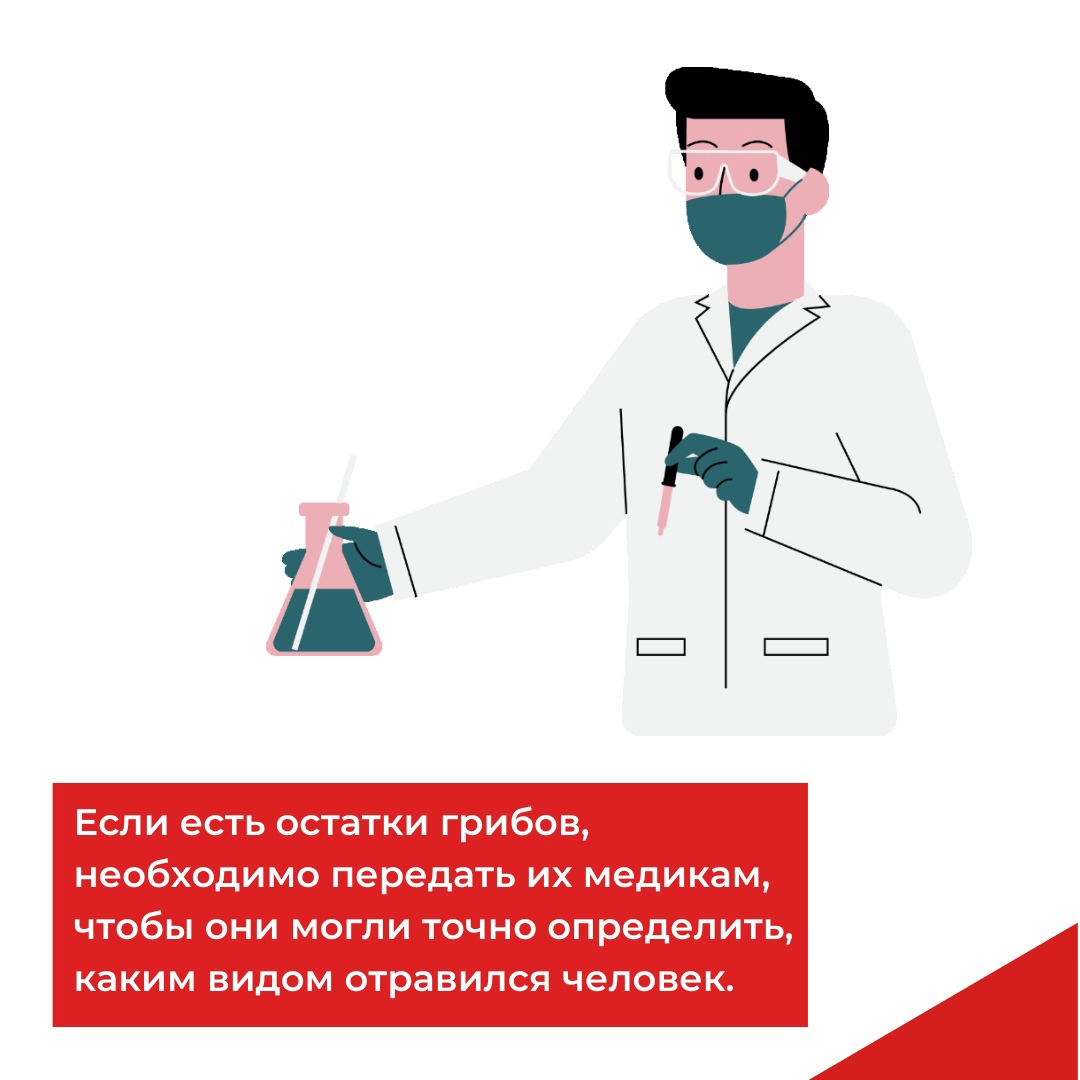 Как оказать помощь при отравлении грибами: советы тульских медиков |  14.07.2023 | Тула - БезФормата