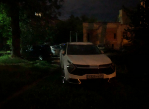 Туляки пожаловались на незаконную парковку на газоне во дворе на Серебровской