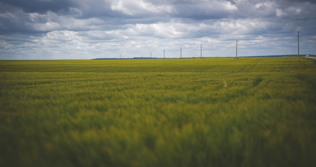 Ð¢ÑÐ»ÑÐº Ð¿Ð¾Ð»ÑÑÐ¸Ð» ÑÑÑÐ°Ñ Ð·Ð° Ð·Ð°ÑÐ¾ÑÑÐ¸Ð¹ ÑÐµÐ»ÑÑÐºÐ¾ÑÐ¾Ð·ÑÐ¹ÑÑÐ²ÐµÐ½Ð½ÑÐ¹ ÑÑÐ°ÑÑÐ¾Ðº 37 Ð³ÐµÐºÑÐ°ÑÐ¾Ð²