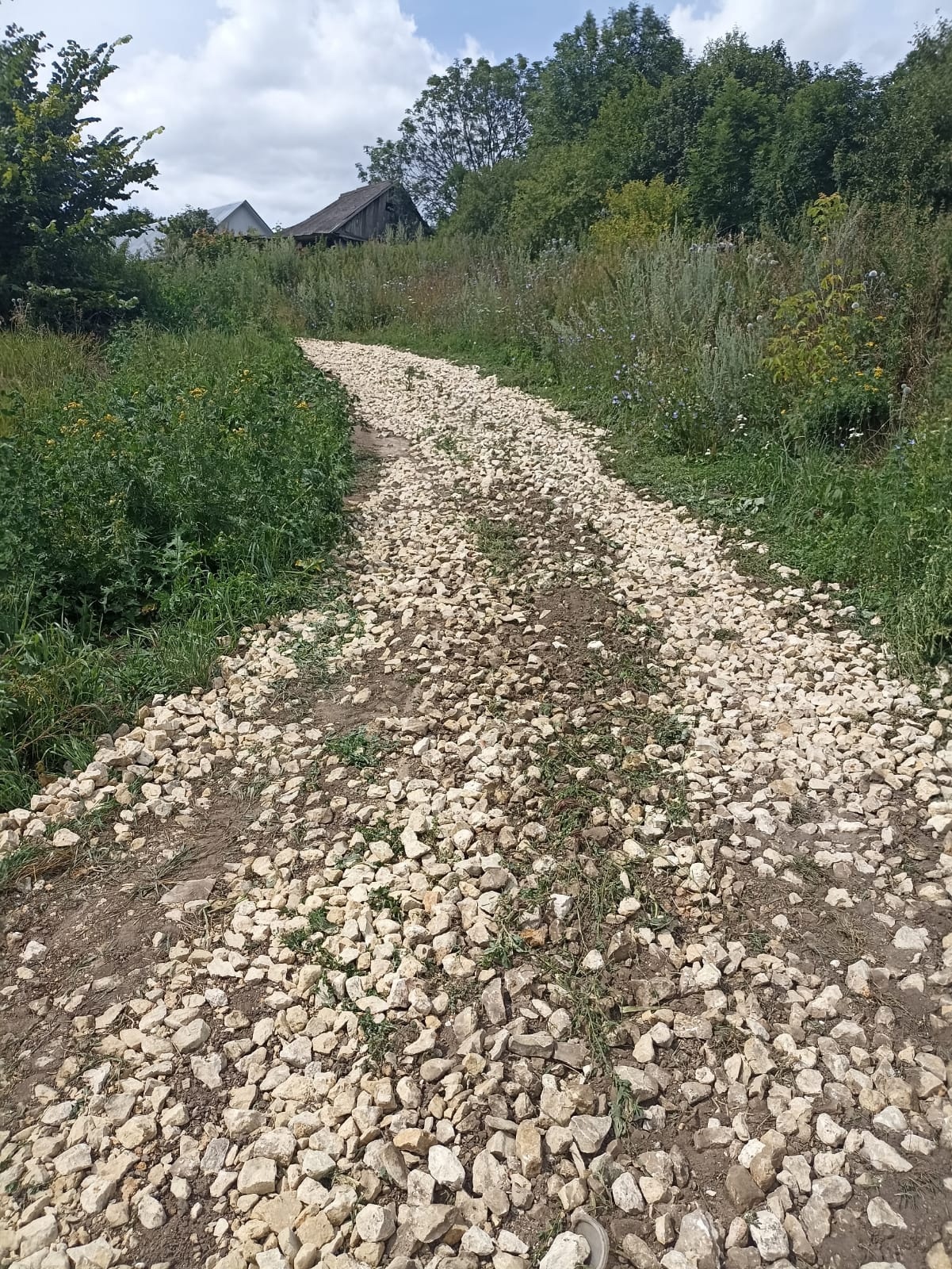 Село сторожи. Ремонт дорог.