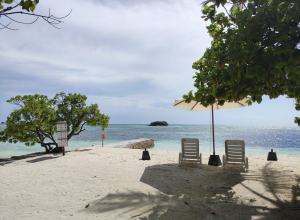 В популярных туристических местах снова начались демонстрации против приезжих