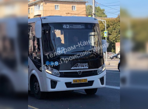 «Ушел покупать фрукты»: туляки пожаловались на водителя маршрутки