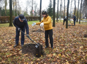 В Комсомольском парке Тулы появилась аллея в честь 105-летию ВЛКСМ