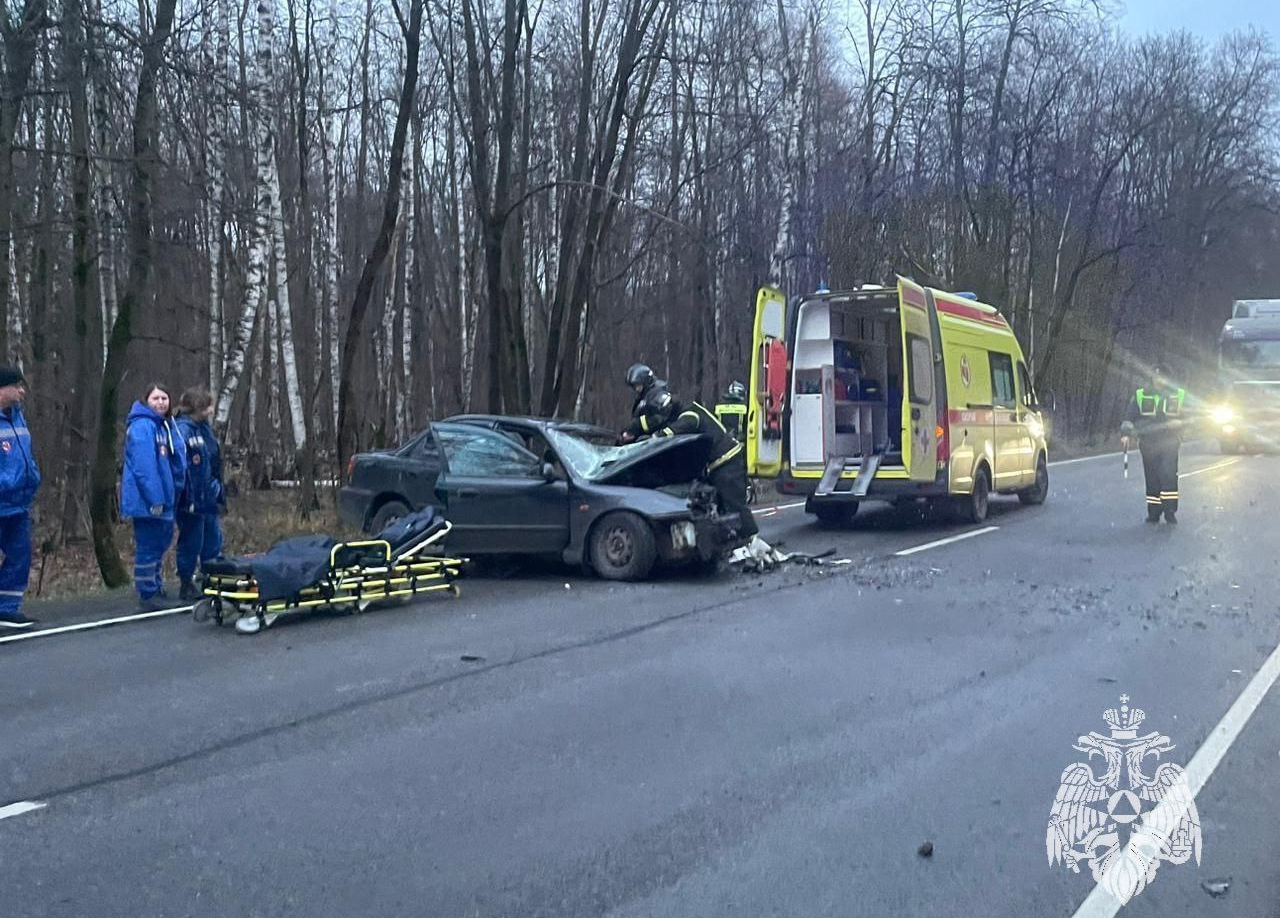 Страшная авария в Богородицком районе: погиб 12-летний мальчик | ИА  “Тульская Пресса”