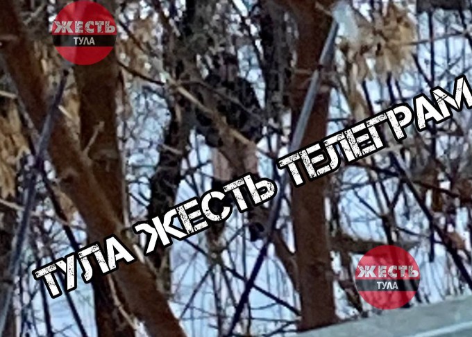 Силовики ищут онаниста, стоявшего у детского сада Екатеринбурга