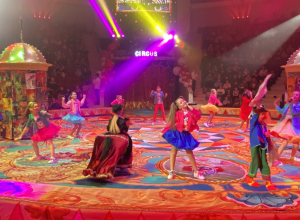 Пьедестал дружбы народов: фестиваль юных талантов в Туле  объединил весь мир под куполом цирка