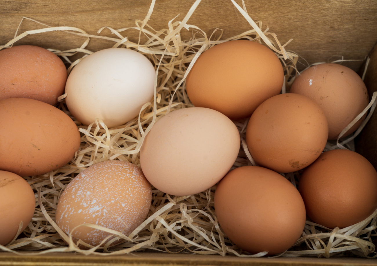 Курица несет яйца без скорлупы: причины явления