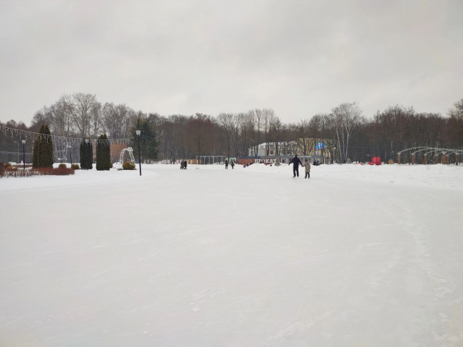 ÐÐ¾Ð»ÑÑÐ¾Ð¹ ÐºÐ°ÑÐ¾Ðº Ð² Ð¦ÐµÐ½ÑÑÐ°Ð»ÑÐ½Ð¾Ð¼ Ð¿Ð°ÑÐºÐµ Ð¢ÑÐ»Ñ Ð²Ð¾ÑÑÑÐ°Ð½Ð¾Ð²Ð¸Ð»Ð¸ Ð¿Ð¾ÑÐ»Ðµ Ð´Ð¾Ð¶Ð´ÐµÐ¹ Ð¸ Ð¾ÑÑÐµÐ¿ÐµÐ»Ð¸