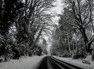 В Центральную Россию вернутся ледяные дожди в конце недели