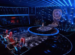 Туляк прошел во второй этап шоу «Голос»