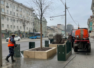 Модули с липами на проспекте Ленина в Туле освободили от защитных коробов