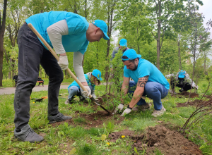 В Рогожинском парке высадили деревья и кустарники