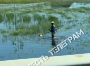 В Туле рабочий косил воду в болоте. Видео