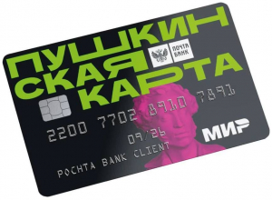 Тульская область вошла в число лидеров по реализации проекта «Пушкинская карта»