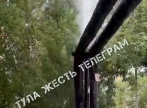 В Туле из трубы забил фонтан после падения дерева. Видео