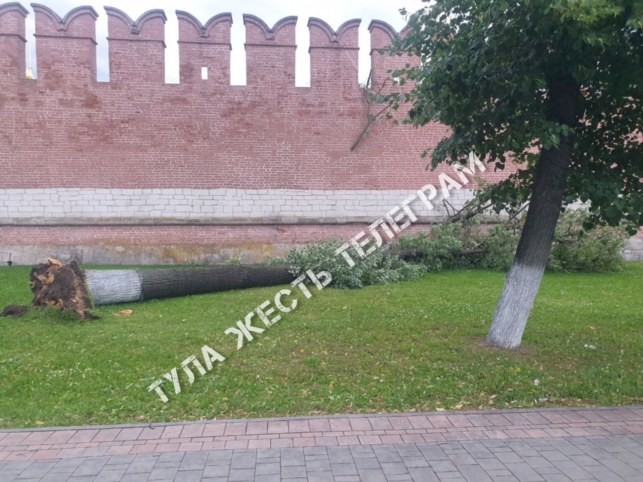 Ураганный ветер сносит деревья в Тульской области | 05.07.2024 | Тула -  БезФормата