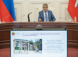 В Щекинском районе построят новые детские площадки и Дом культуры