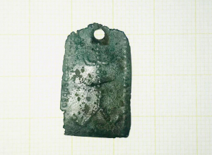 Тульские археологи нашли ценный артефакт возле деревни Барыбинки