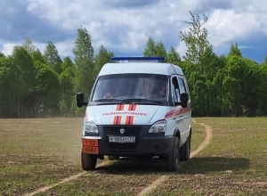 В Тульской области ликвидировали еще восемь снарядов времен Великой Отечественной войны