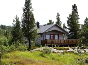 В Тульской области отменили льготную ипотеку: частный дом стал дешевле квартиры