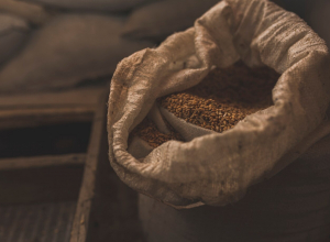 Декларации тульского КФХ на 6 000 тонн зерна признали недействительными