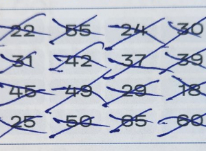Мечтал о миллионе, а получил в 50 раз больше: тульский пенсионер выиграл в лотерею 50 млн рублей