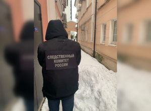 Тулячка едва не погибла под упавшей с крыши наледью: СК нашел виновника