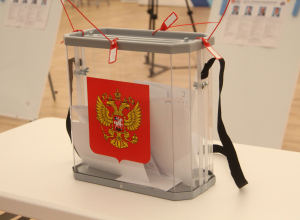 Куряне в Тульской области досрочно голосуют за своего губернатора