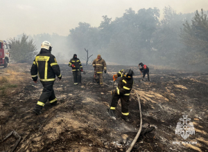 Тульские огнеборцы тушат пожары в ЛНР. Фото