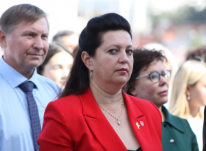 «Все остальное — чьи-то домыслы»: тулячка Фельдман объяснила уход из вологодского правительства